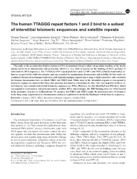 The Human TTAGGG Repeat Factors 1 and 2 Bind to a Subset of Interstitial Telomeric Sequences and Satellite Repeats