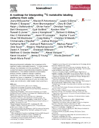 A Roadmap for Interpreting 13C Metabolite Labeling Patterns from Cells