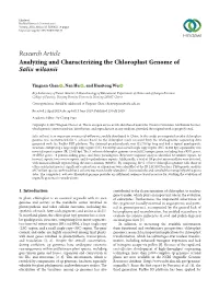 Analyzing and Characterizing the Chloroplast Genome of Salix Wilsonii