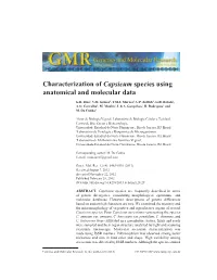 Characterization of Capsicum Species Using Anatomical and Molecular Data