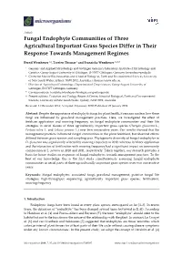 Fungal Endophyte Communities of Three Agricultural Important Grass Species Differ in Their Response Towards Management Regimes