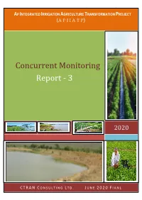 Concurrent Monitoring Report - 3