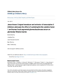 Janus Kinase 2/Signal Transducer and Activator of Transcription 3 Inhibitors Attenuate the Effect of Cardiotrophin-Like Cytokine