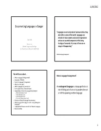 Documenting Languages in Danger