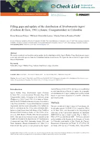 Filling Gaps and Update of the Distribution of Strabomantis Ingeri (Cochran & Goin, 1961) (Anura: Craugastoridae) in Colombi