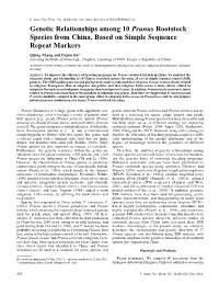 Genetic Relationships Among 10 Prunus Rootstock Species from China, Based on Simple Sequence Repeat Markers