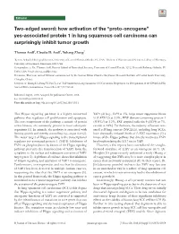 How Activation of the “Proto-Oncogene” Yes-Associated Protein 1 in Lung Squamous Cell Carcinoma Can Surprisingly Inhibit Tumor Growth