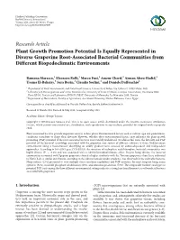 Plant Growth Promotion Potential Is Equally Represented in Diverse Grapevine Root-Associated Bacterial Communities from Different Biopedoclimatic Environments