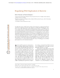 Regulating DNA Replication in Bacteria