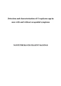 Detection and Characterisation of Ureaplasma Spp in Men with and Without Urogenital Symptoms