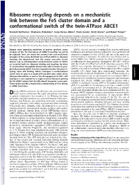 Ribosome Recycling Depends on a Mechanistic Link Between the Fes Cluster Domain and a Conformational Switch of the Twin-Atpase ABCE1