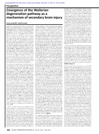 Emergence of the Wallerian Degeneration Pathway As A