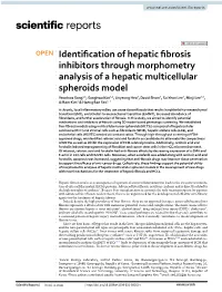 Identification of Hepatic Fibrosis Inhibitors Through Morphometry Analysis of a Hepatic Multicellular Spheroids Model
