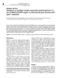 Analyses of Multiple Single-Nucleotide Polymorphisms in the SUMO4/IDDM5 Region in Affected Sib-Pair Families with Type I Diabetes