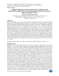Carbon Sequestration Potential in Biomass of Haloxylon