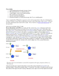 Class Outline 1. Understanding Polynucleotide Structure (Read) 2. Why Polynucleotides Are Important (Read) • Central Dogma- Tr