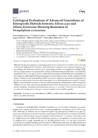Cytological Evaluations of Advanced Generations of Interspecific Hybrids