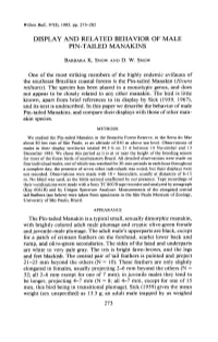 Display and Related Behavior of Male Pin-Tailed Manakins