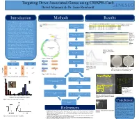 Meiotic Drive Impacts Expression and Evolution of X-Linked Genes In