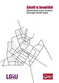 Small Is Beautiful Delivering More Homes Through Small Sites Author: Andrew Walker, Lgiu Forewords