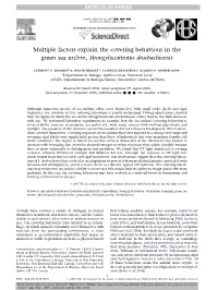 Multiple Factors Explain the Covering Behaviour in the Green Sea Urchin, Strongylocentrotus Droebachiensis