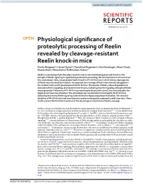 Physiological Significance of Proteolytic Processing of Reelin