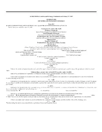As Filed with the Securities and Exchange Commission on February 27, 2009