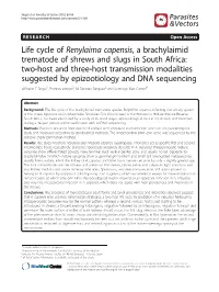 Life Cycle of Renylaima Capensis, a Brachylaimid