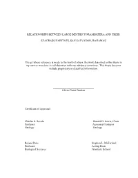 Relationships Between Large Benthic Foraminifera and Their