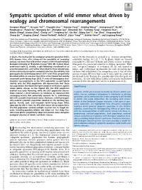 Sympatric Speciation of Wild Emmer Wheat Driven by Ecology and Chromosomal Rearrangements