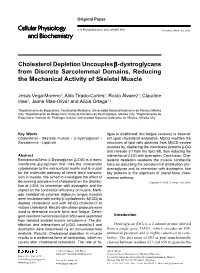 Cholesterol Depletion Uncouples Β-Dystroglycans from Discrete Sarcolemmal Domains, Reducing the Mechanical Activity of Skeletal Muscle
