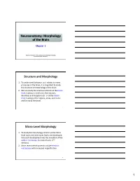 Structure and Morphology Micro-‐Level Morphology