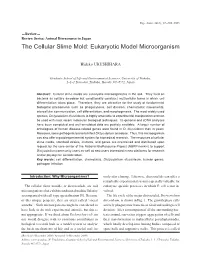 The Cellular Slime Mold: Eukaryotic Model Microorganism