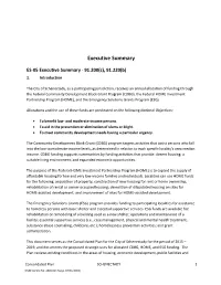 Executive Summary