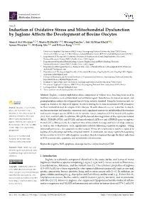 Induction of Oxidative Stress and Mitochondrial Dysfunction by Juglone Affects the Development of Bovine Oocytes
