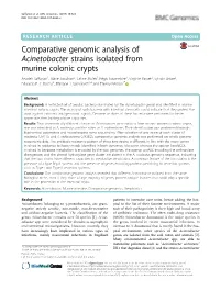 Comparative Genomic Analysis of Acinetobacter Strains Isolated From