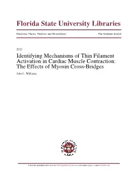 Identifying Mechanisms of Thin Filament Activation in Cardiac Muscle Contraction: the Effects of Myosin Cross-Bridges John L