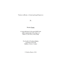 Martine Dennie-Final Thesis