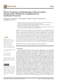 Surface Properties and Morphology of Boron Carbide Nanopowders Obtained by Lyophilization of Saccharide Precursors