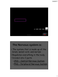 The Nervous System Is