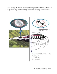 M.A. Maciver's Dissertation