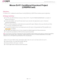 Mouse Errfi1 Conditional Knockout Project (CRISPR/Cas9)