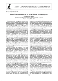 Serrate Tomia: an Adaptation for Nectar Robbing in Hummingbirds?