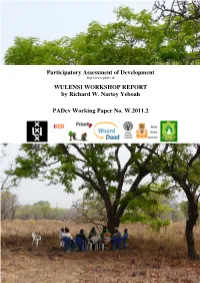 Wulensi Workshop Report