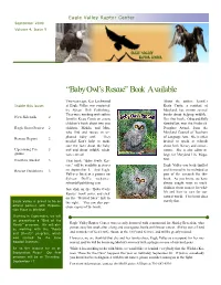 Flights of Fancy Newsletter