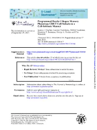 Cell-Intrinsic Manner Phenotype CD8 T Cell Subsets in a Programmed Death-1 Shapes Memory