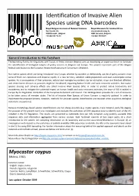 Identification of Invasive Alien Species Using DNA Barcodes