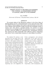 Present Status of the Himalayan Mahseer Tor Putitora, An