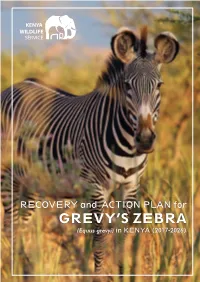 Recovery and Action Plan for Grevy's Zebra