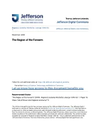 The Region of the Forearm